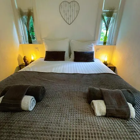 Felicity - Family In The Forest *