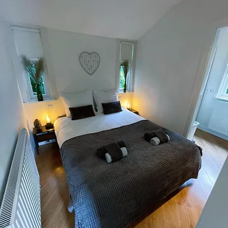 Felicity - Family In The Forest