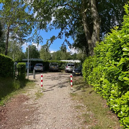 Felicity - Family In The Forest Beekbergen