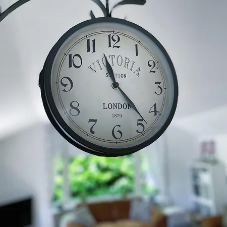 Felicity - Family In The Forest