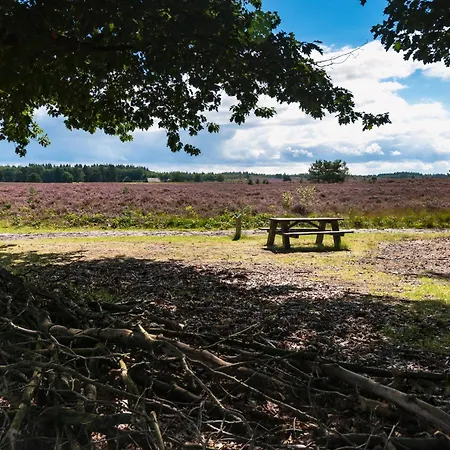 Felicity - Family In The Forest * Бикберген