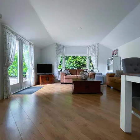 Felicity - Family In The Forest