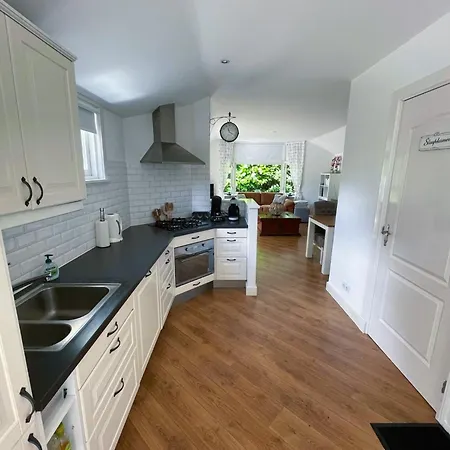 Felicity - Family In The Forest Beekbergen