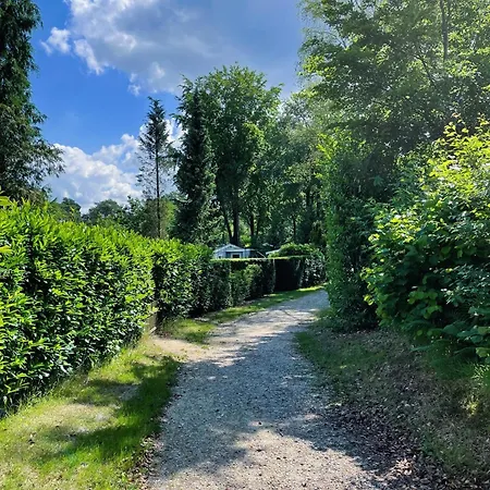 Felicity - Family In The Forest