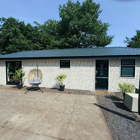 Felicity - Family In The Forest *