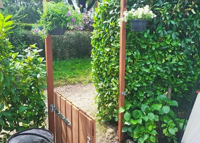 Felicity - Family In The Forest * Beekbergen