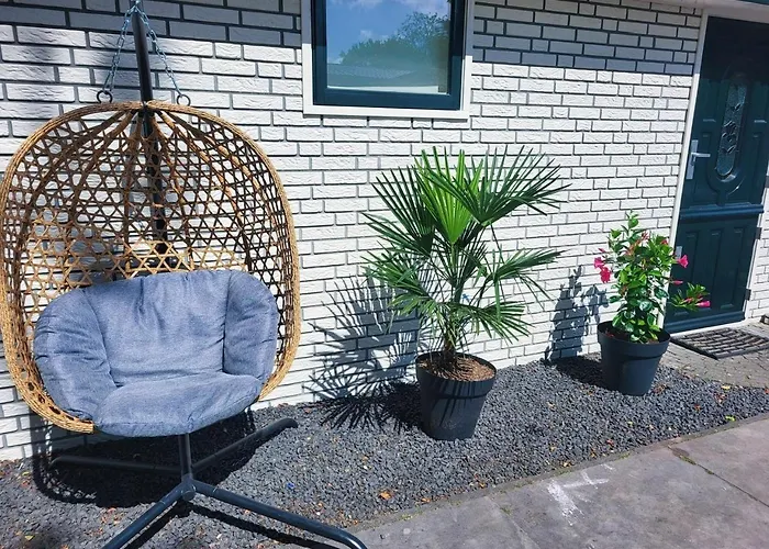 Felicity - Family In The Forest Chalet