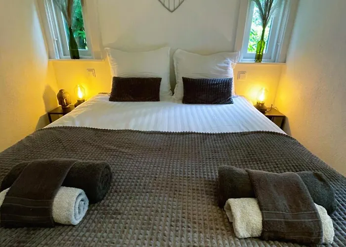 Felicity - Family In The Forest *