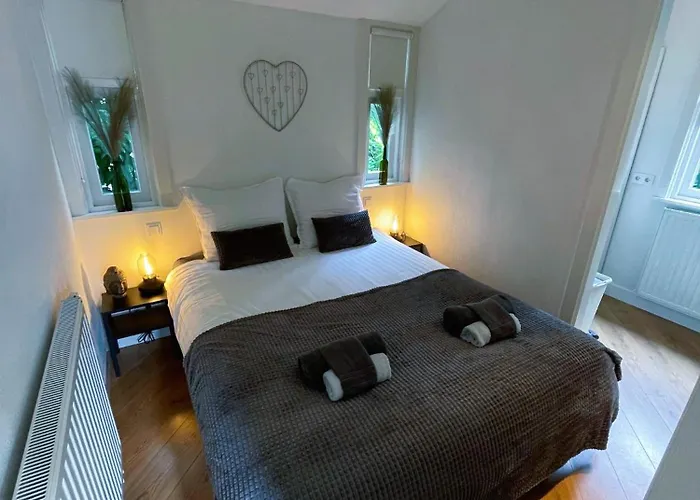 Felicity - Family In The Forest