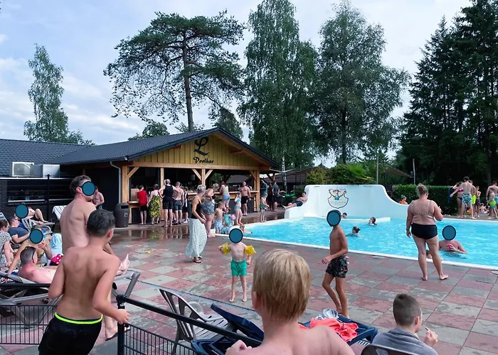 Felicity - Family In The Forest