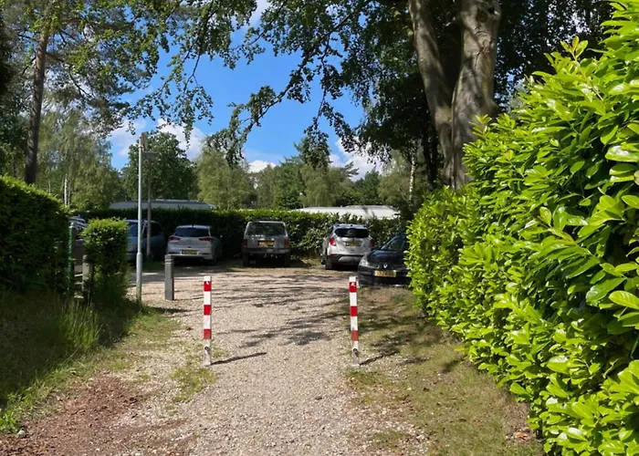 Felicity - Family In The Forest Beekbergen