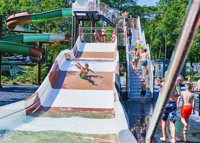 Chalet Felicity - Family In The Forest