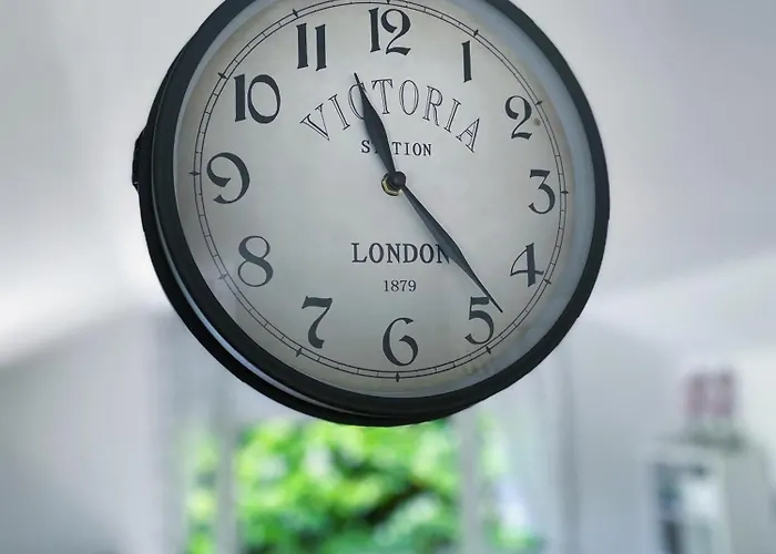 Felicity - Family In The Forest