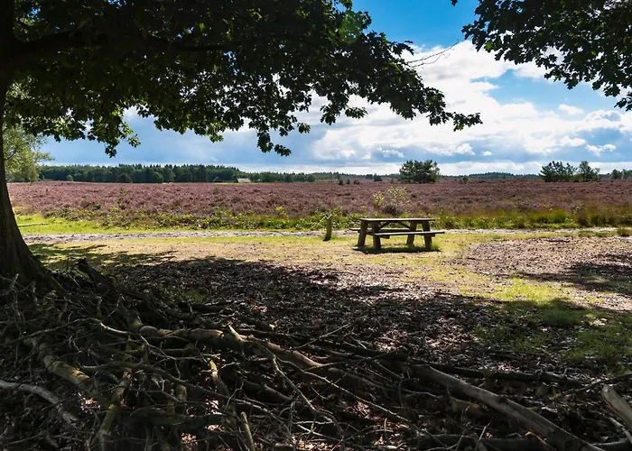 Felicity - Family In The Forest * Beekbergen