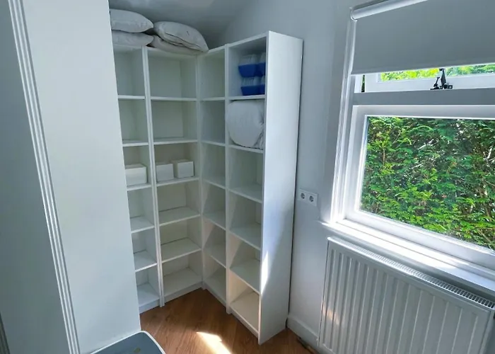 Felicity - Family In The Forest *