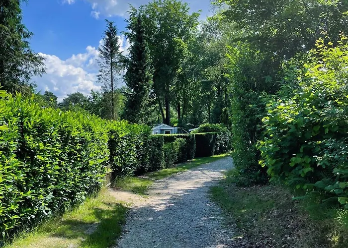 Felicity - Family In The Forest