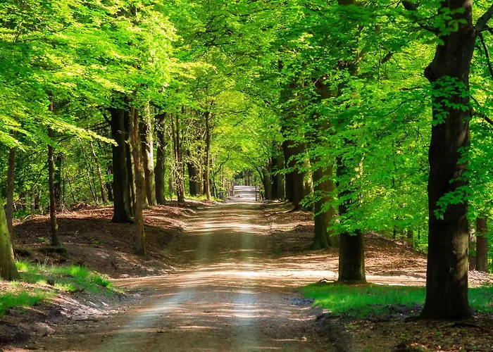 Felicity - Family In The Forest Chalet Beekbergen