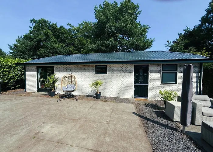 Felicity - Family In The Forest *