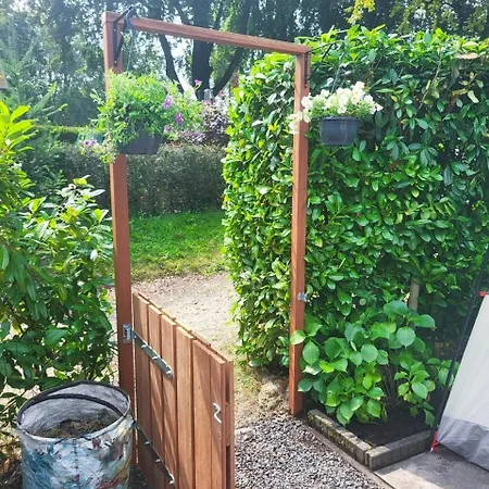 Felicity - Family In The Forest * ベークベーゲン