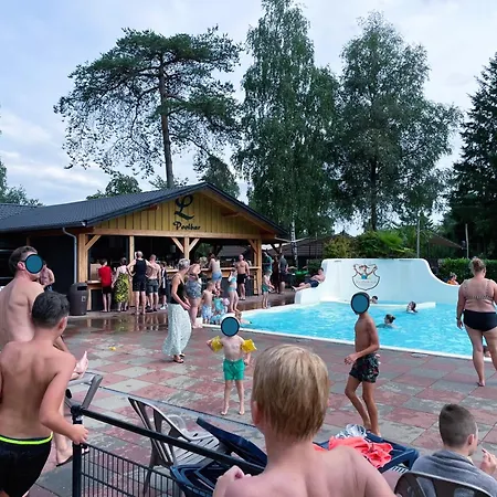 Felicity - Family In The Forest