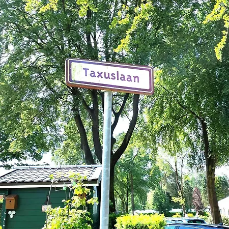 シャレー Felicity - Family In The Forest *