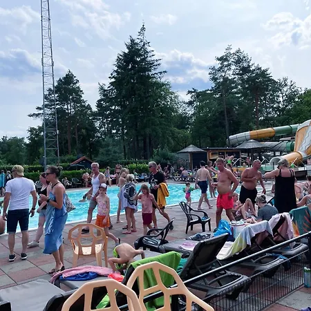 シャレー Felicity - Family In The Forest ベークベーゲン