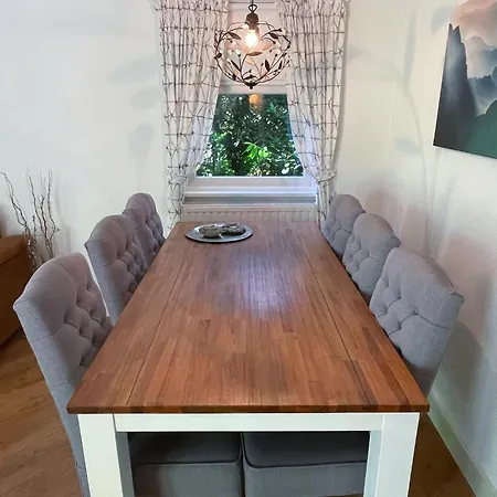 Felicity - Family In The Forest ベークベーゲン