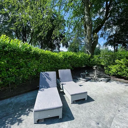 Felicity - Family In The Forest ベークベーゲン